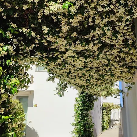 Dimore Della Fausa * 朱尔迪尼亚诺