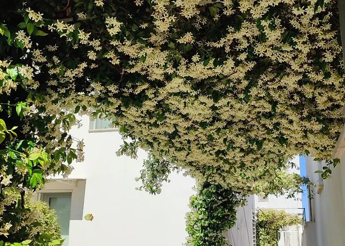 Dimore Della Fausa * ג'ורדיניאנו